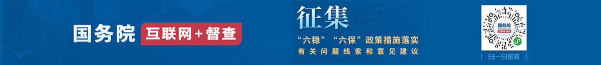 國(guó)務(wù)院互聯(lián)網(wǎng)加督查